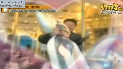 แต่งงานกับหมอน 