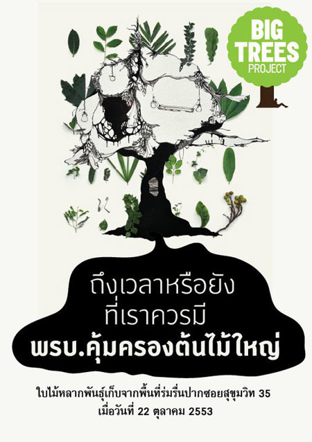  BIG Trees Project 