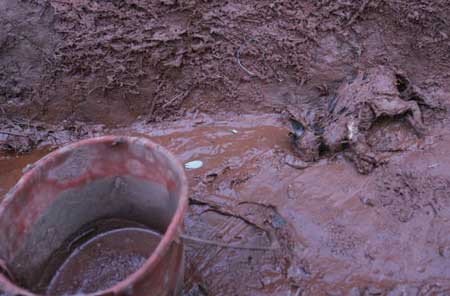 สารพิษตะกอนสีแดง