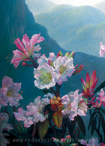 พระฉายาลักษณ์ พระเทพ ส.ค.ส. กาชาด ปี 2554  