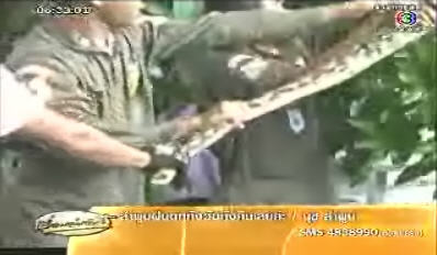 งูกินหมา