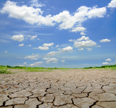 ภัยแล้ง