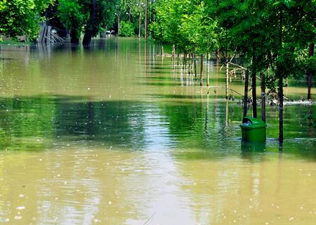 น้ำท่วม