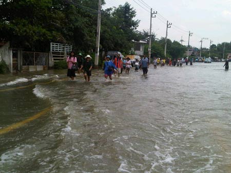 1 กิโลเมตรก่อนถึงตัวเมืองพิมาย คนเดินออกมาหาอาหาร-เข้าห้องน้ำ  เครดิต : @noppatjak 