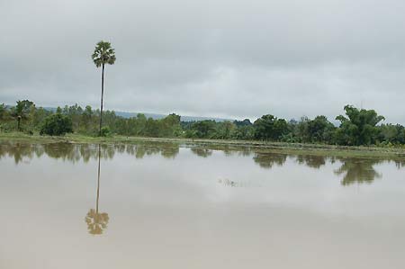 ข่าวน้ำท่วม ปักธงชัย น้ำท่วมโคราช