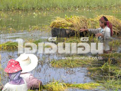 น้ำท่วม ข่าวน้ำท่วม