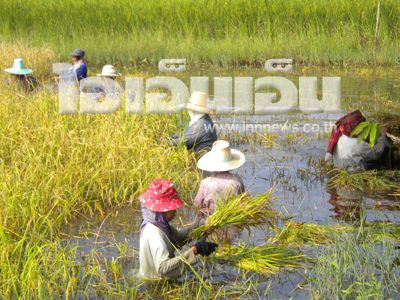 น้ำท่วม ข่าวน้ำท่วม