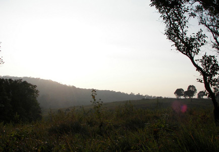 เขาใหญ่