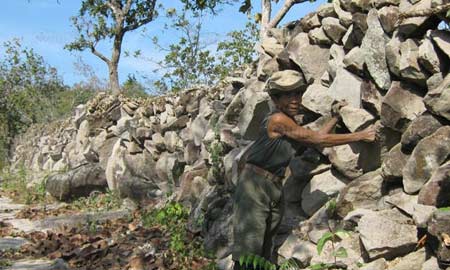 เรื่องแปลก