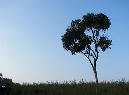 เขาใหญ่