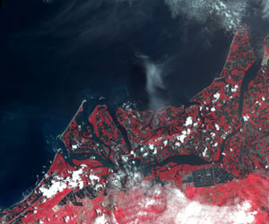 แผ่นดินไหว