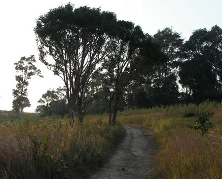 เขาใหญ่