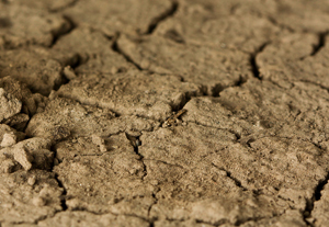 ภัยแล้ง