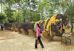 ต้นตะเคียน