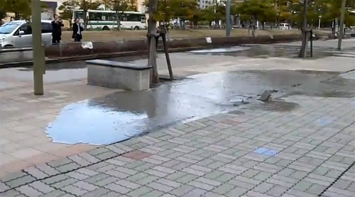 เผยคลิปแผ่นดินไหวญี่ปุ่น ทำแผ่นดินแยกกลางเมือง