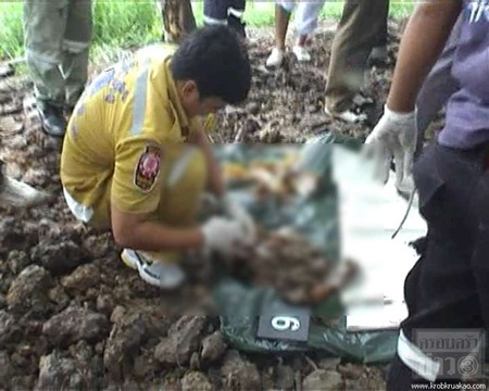 ฆาตกรรม