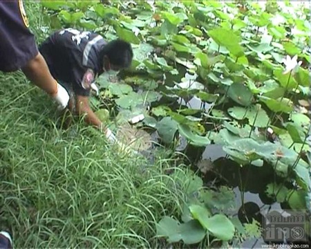 ข่าวอาชญากรรม