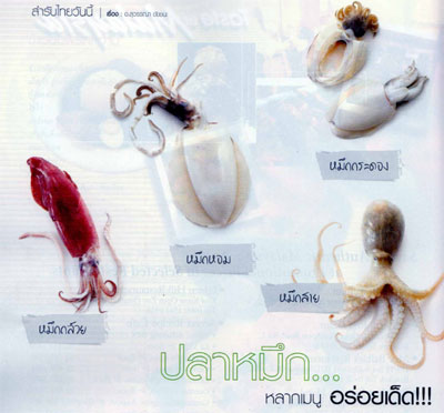 ปลาหมึก... หลากหลายเมนู อร่อยเด็ด