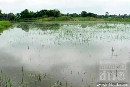 น้ำท่วม