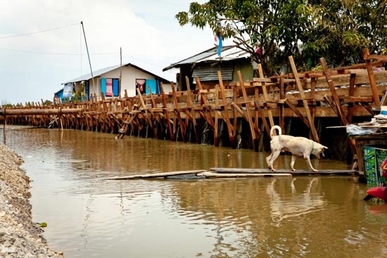 รวมภาพในวันน้ำหลาก เมืองปากน้ำโพ นครสวรรค์