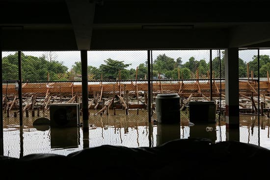 รวมภาพในวันน้ำหลาก เมืองปากน้ำโพ นครสวรรค์