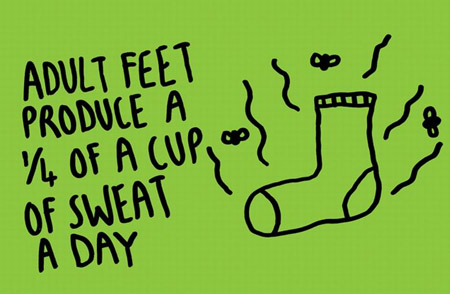 30 ความจริงในโลกนี้ที่คุณอาจไม่รู้