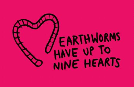 30 ความจริงในโลกนี้ที่คุณอาจไม่รู้