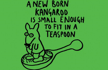 30 ความจริงในโลกนี้ที่คุณอาจไม่รู้