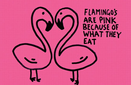 30 ความจริงในโลกนี้ที่คุณอาจไม่รู้