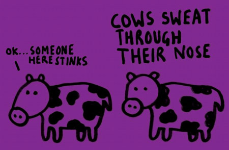 30 ความจริงในโลกนี้ที่คุณอาจไม่รู้