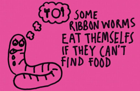 30 ความจริงในโลกนี้ที่คุณอาจไม่รู้