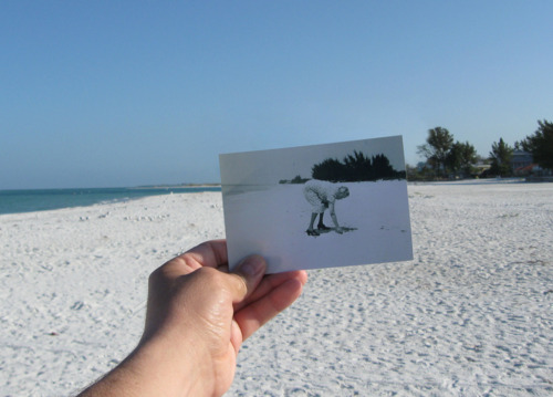 Dear Photographs
