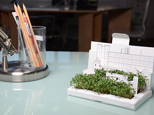 Postcarden โปสการ์ดที่ย่อสวนสวยมาไว้บนกระดาษ