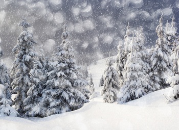 ถอดรหัสพุทธทำนาย...มหันตภัยของโลก หลังปี 2556