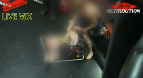 จวกเละ! อังกฤษจับเด็กต่อสู้กันในกรง