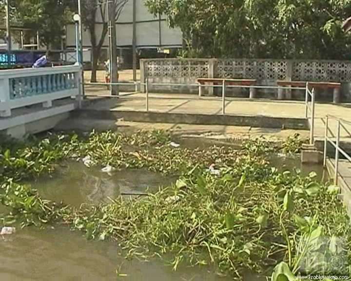 น้ำเน่า แม่น้ำบางปะกง