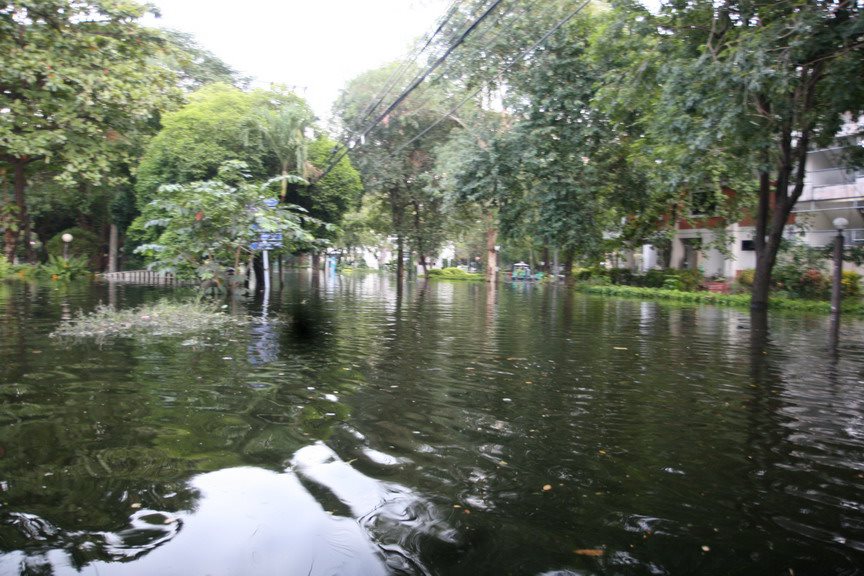 น้ำท่วม ม.เกษตร