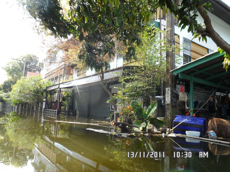 น้ำท่วมพิพิธภัณฑ์