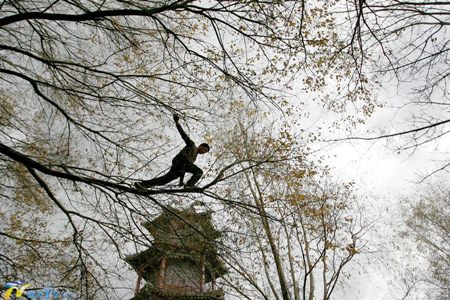 วิชาตัวเบา