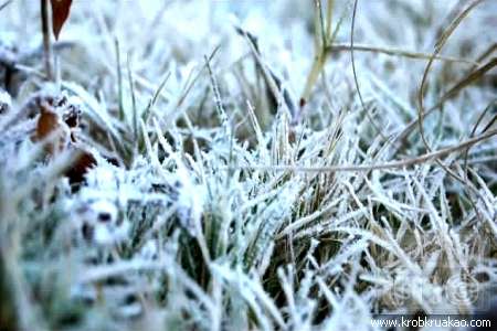 ปภ.เชียงใหม่เผยอมก๋อยอุณหภูมิลดเร็ว