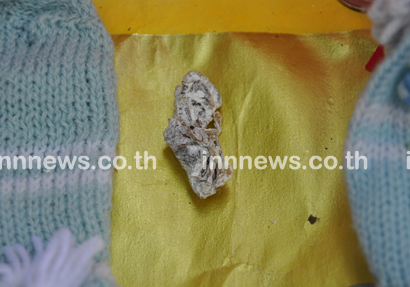 ล้างป่าช้า