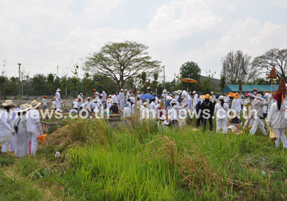 ล้างป่าช้า