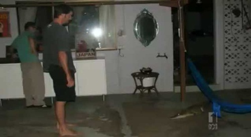 สาวใหญ่ออสซี่ผงะ จระเข้โผล่ในบ้านกลางดึก