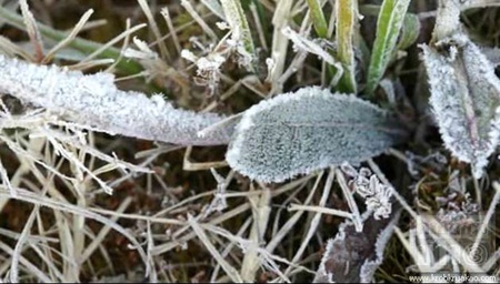 ปภ.เผยเชียงใหม่หนาวจัด อมก๋อยอุณหภูมิลดฮวบ