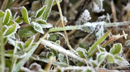 ปภ.เผยเชียงใหม่หนาวจัด อมก๋อยอุณหภูมิลดฮวบ