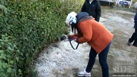 ปภ.เผยเชียงใหม่หนาวจัด อมก๋อยอุณหภูมิลดฮวบ