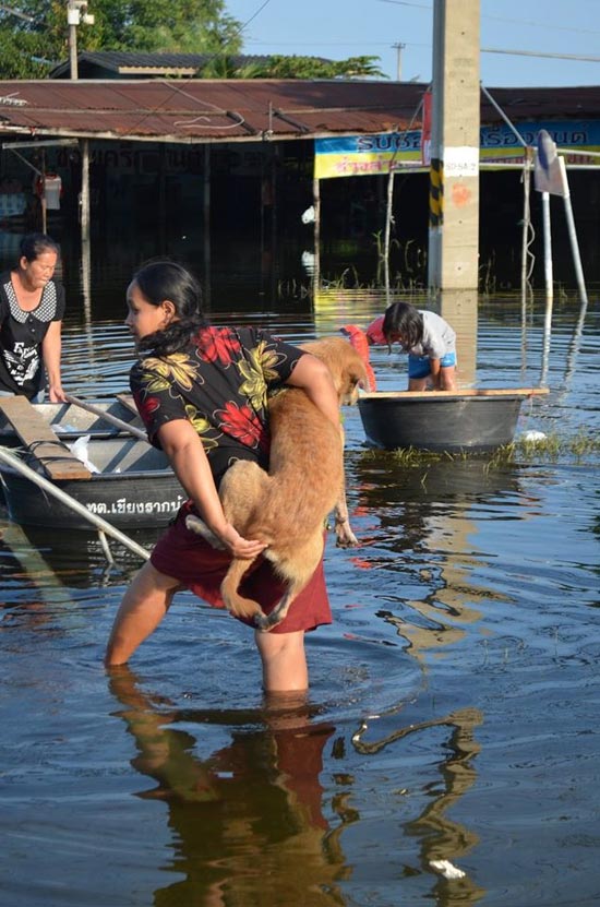 ทีวีบูรพา สื่อสร้างสรรค์สังคม ช่วยเหลือน้ำท่วม 