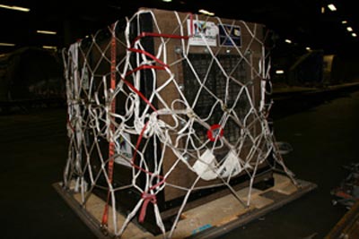 ลิงอุรังอุตังสาวเข้าคอร์สรีดน้ำหนักเพื่อสุขภาพ