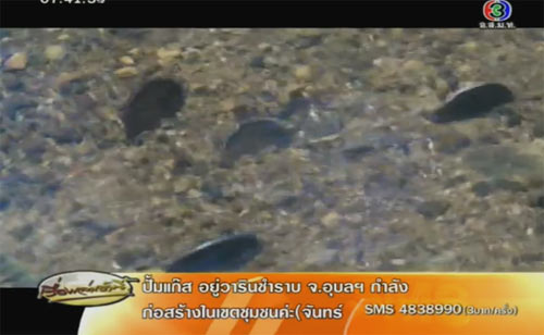 เหรียญ ร.5