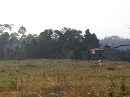 เขาใหญ่